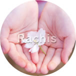 Rachis